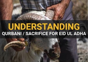 Understanding Qurbani/Sacrifice for Eid ul Adha